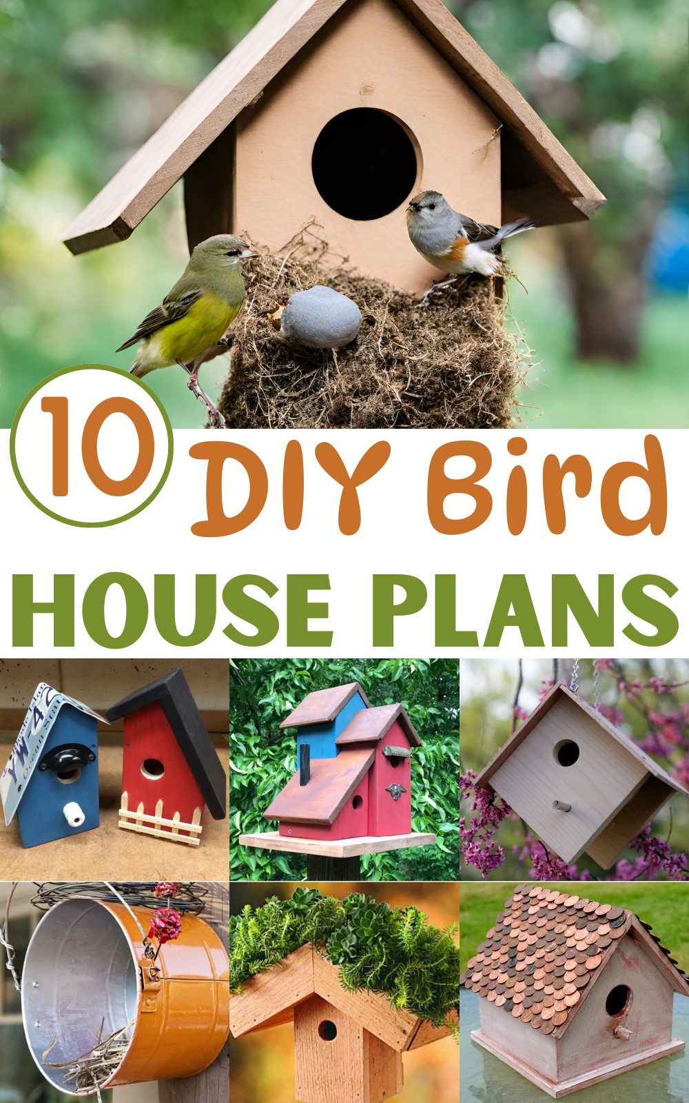 10 Easy DIY Birdhouse Plans to Enhance Your Backyard Sanctuary