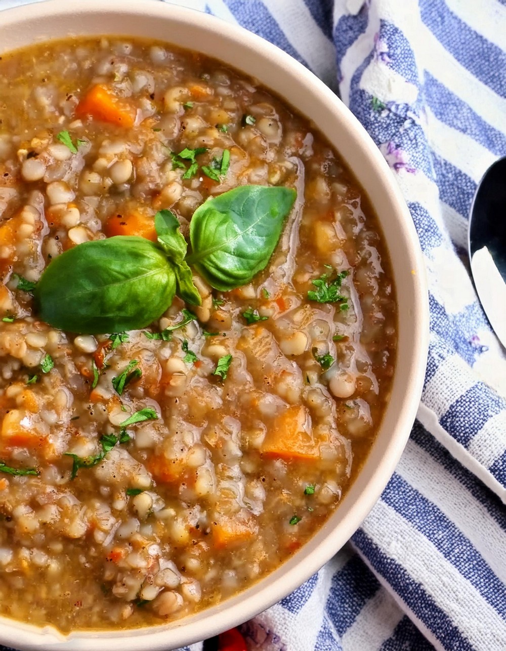 Best Lentil Soup Recipe 1