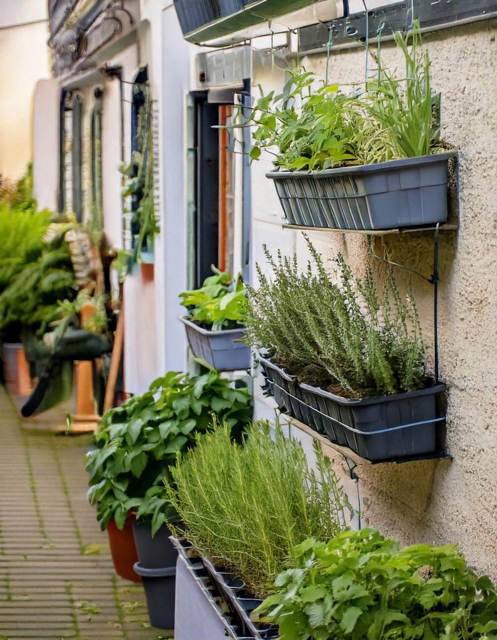 Herb Haven Growing a Kitchen Garden in Tiny Spaces