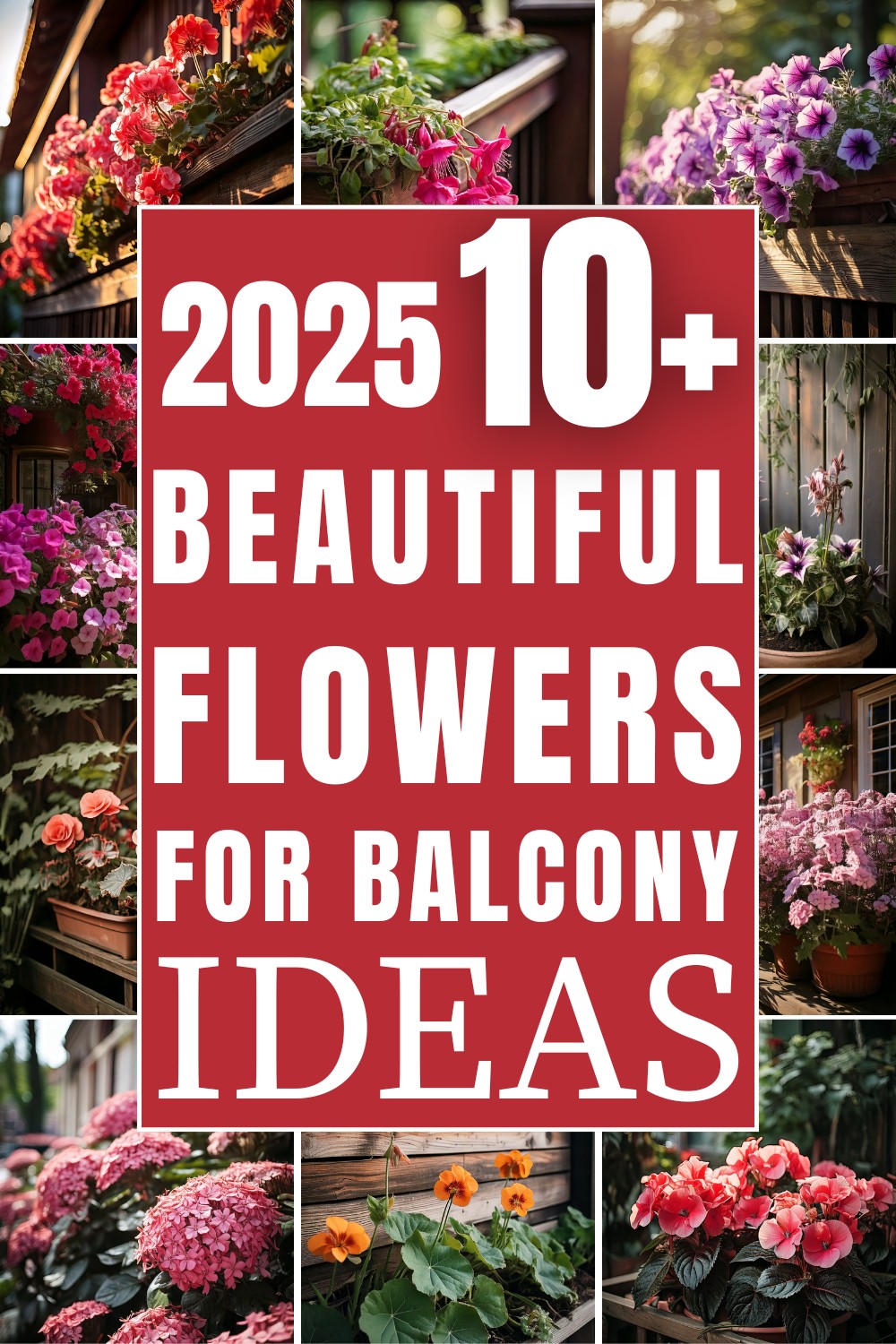 11 Beautiful Flowers For Balcony Ideas