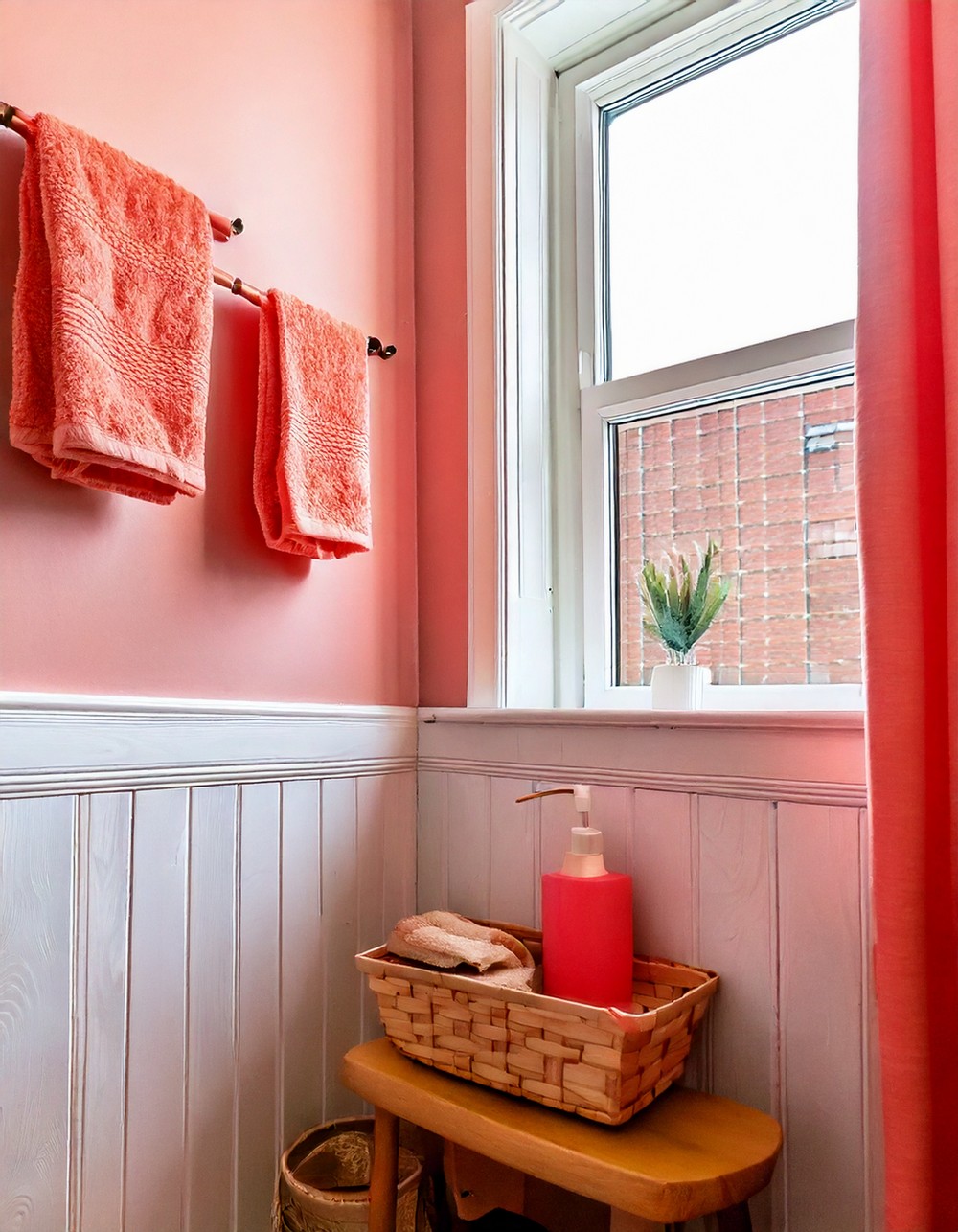 Coral Accessories and Decor