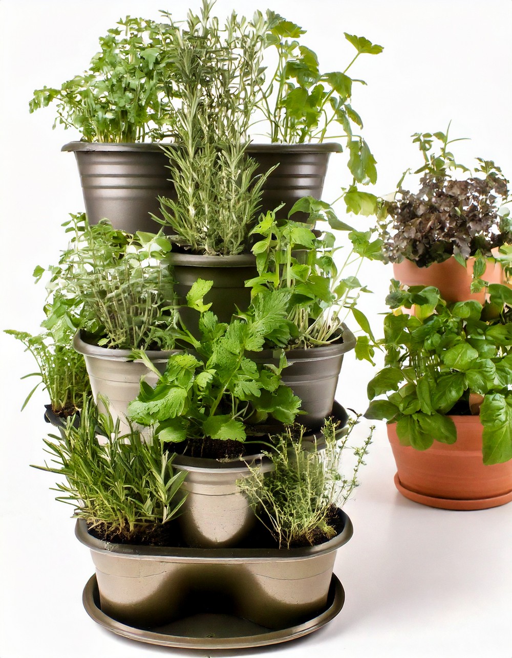 Vertical Herb Garden Kits