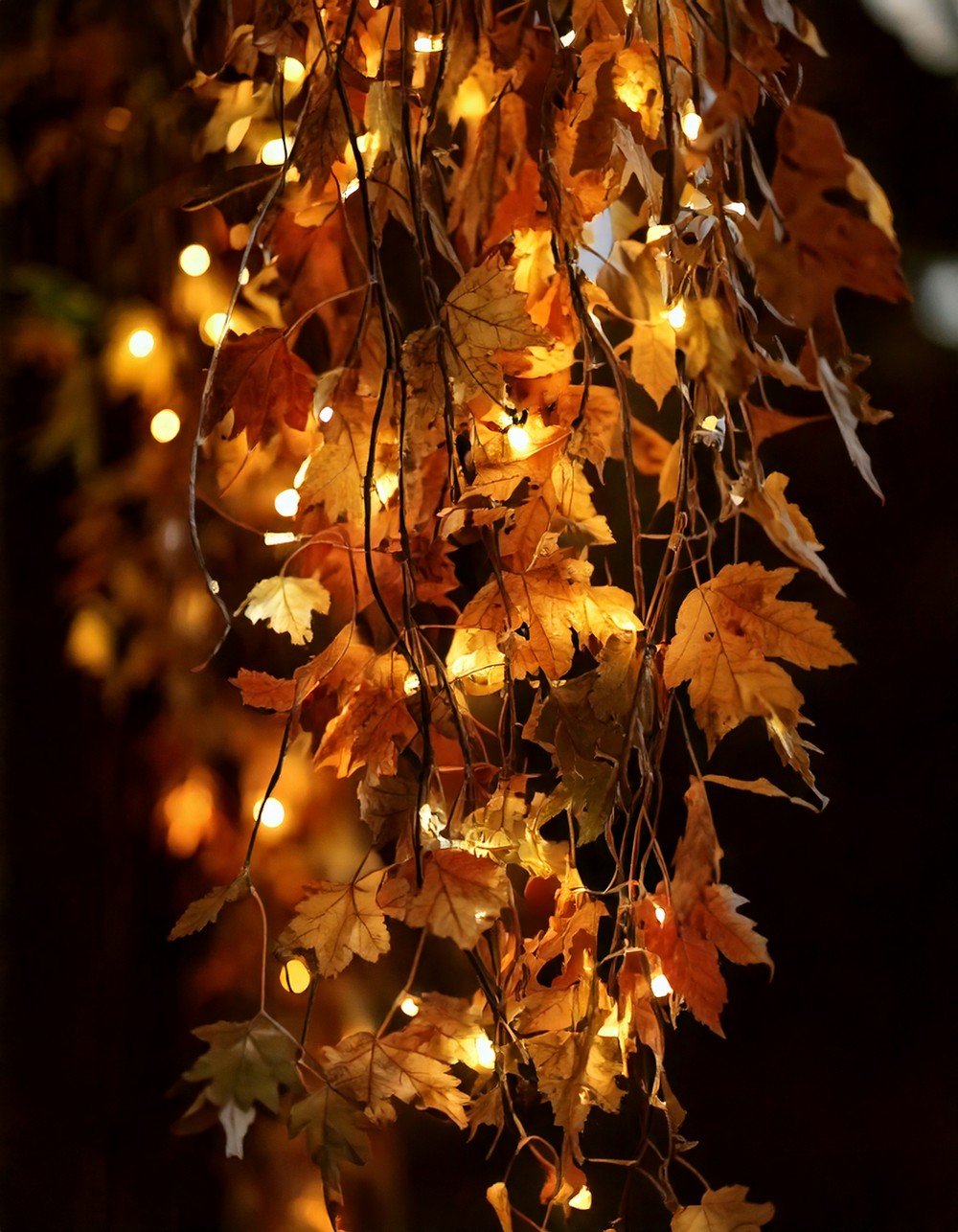 Fairy Light Garland with Autumn Leaves