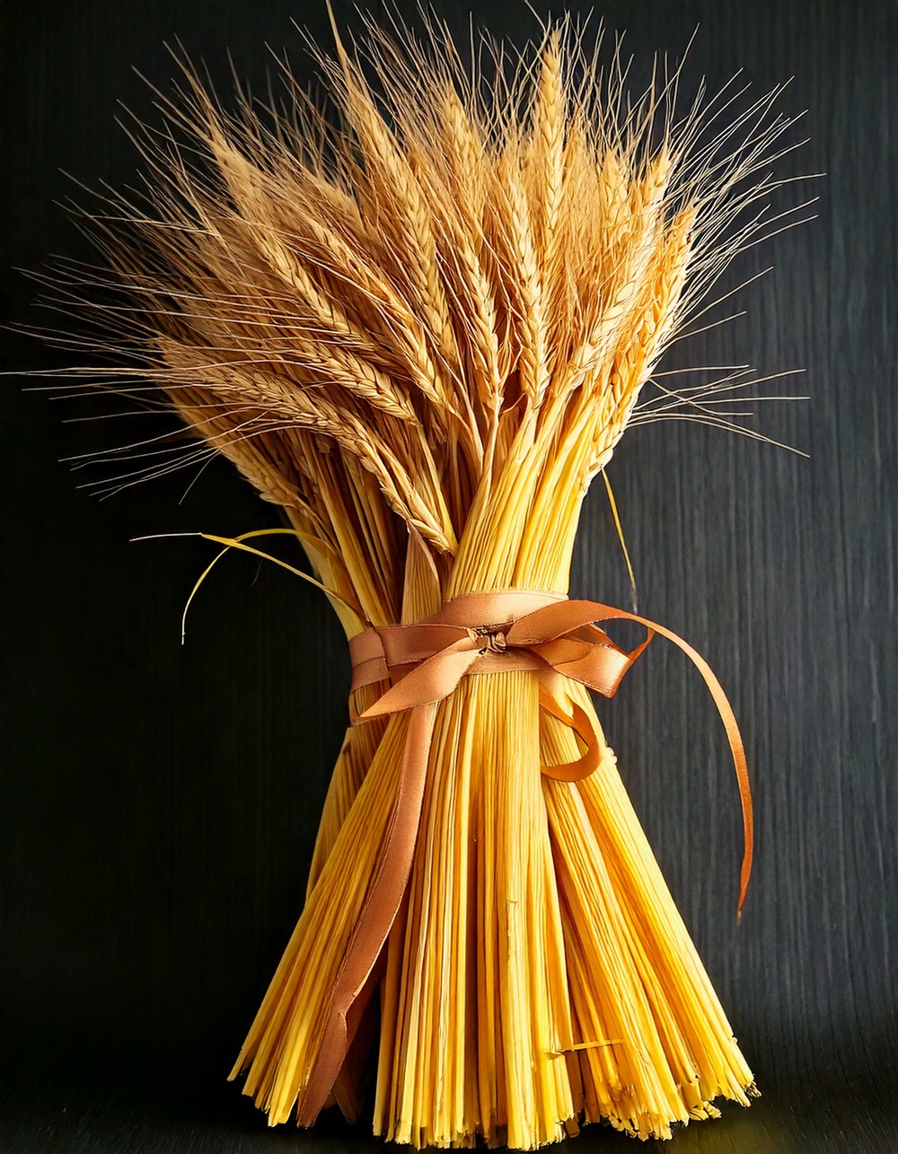Hand-Tied Cornstalk Bundles with Ribbon