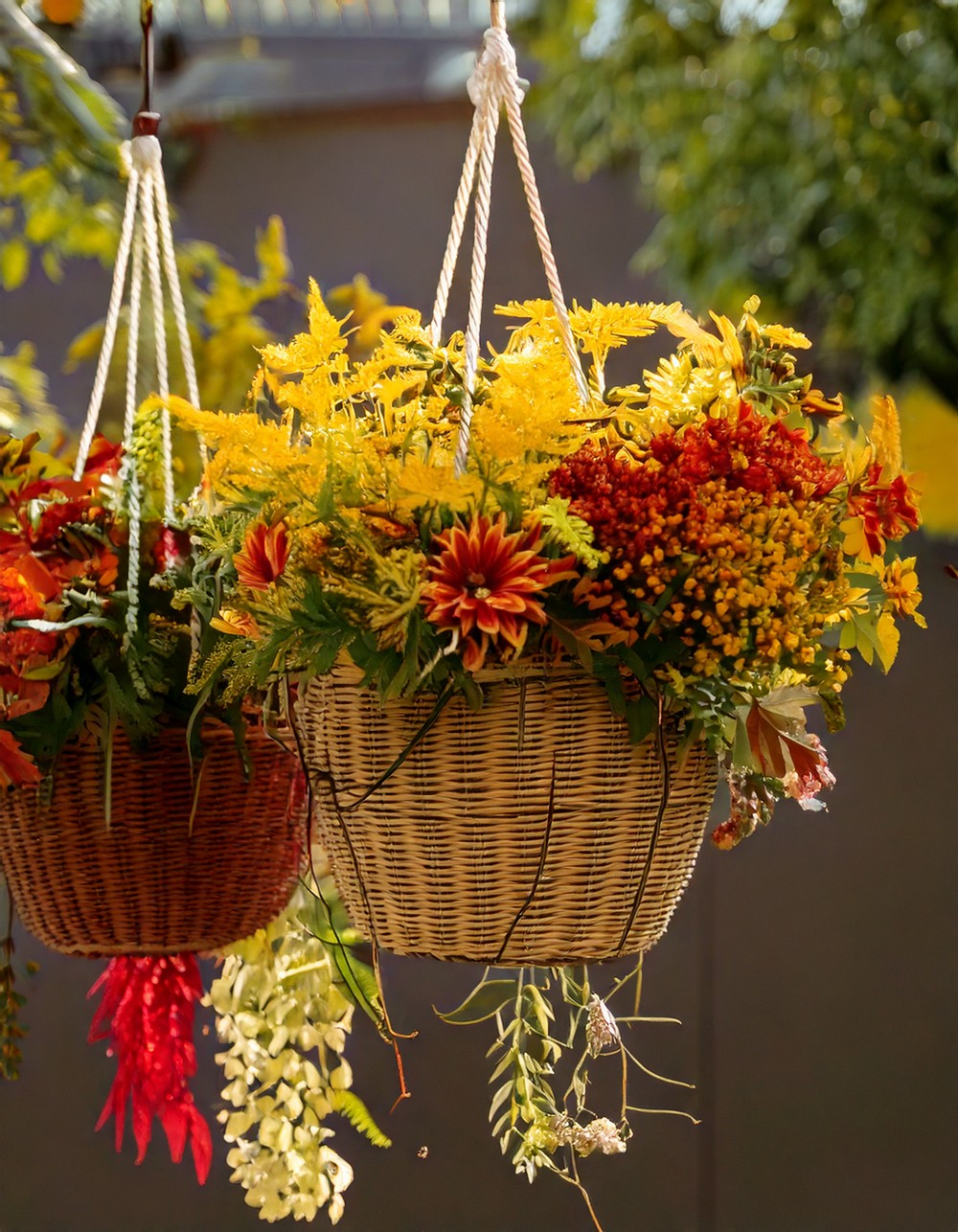 Hanging Baskets with Autumn Florals