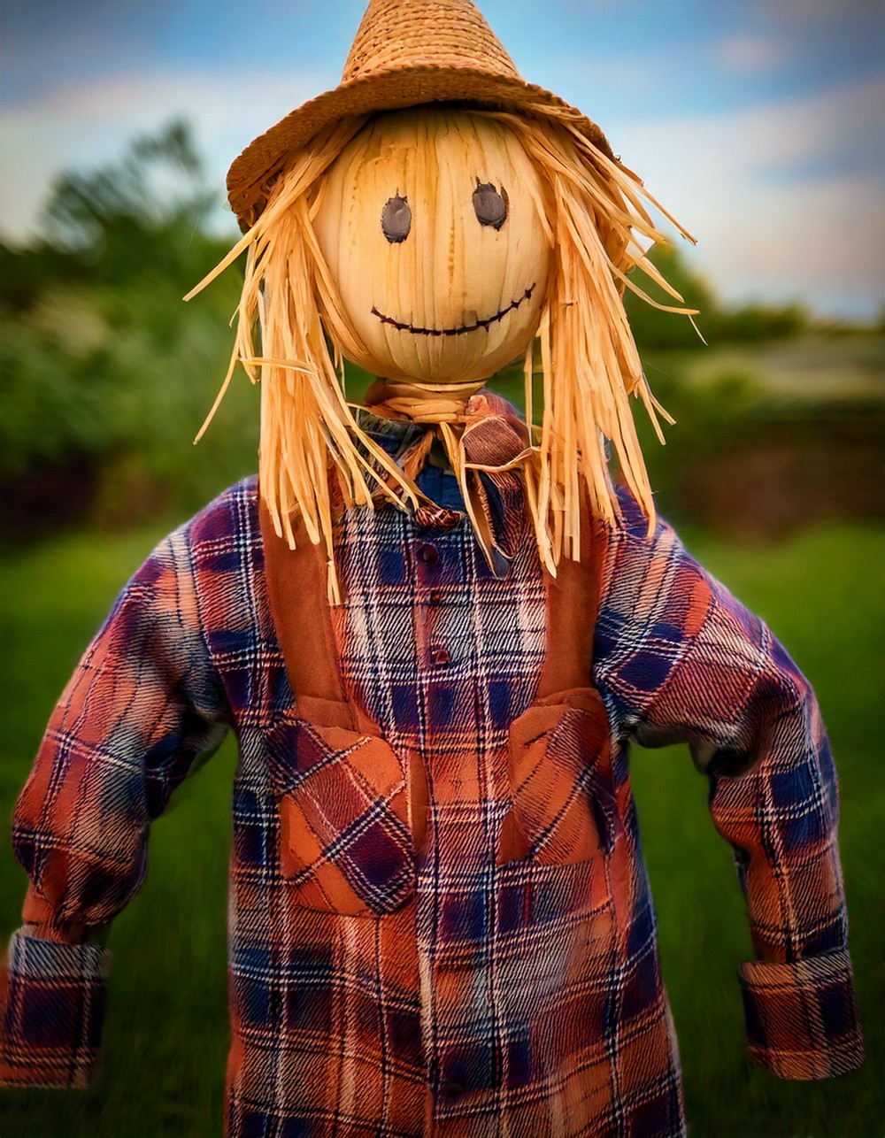 Homemade Scarecrow with Flannel Clothes
