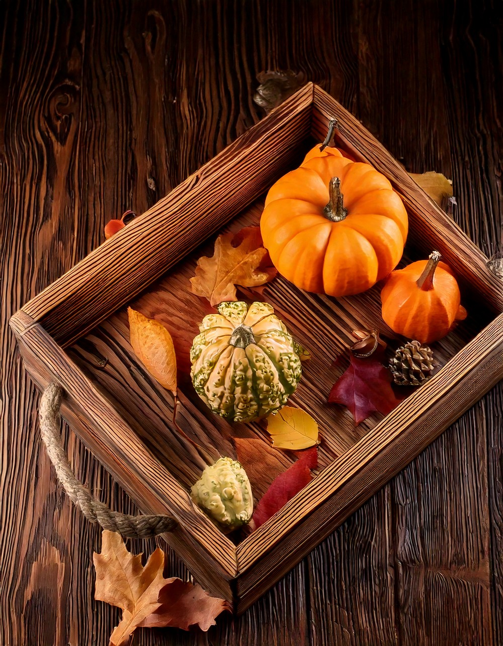 Reclaimed Wood Tray with Autumn Decor