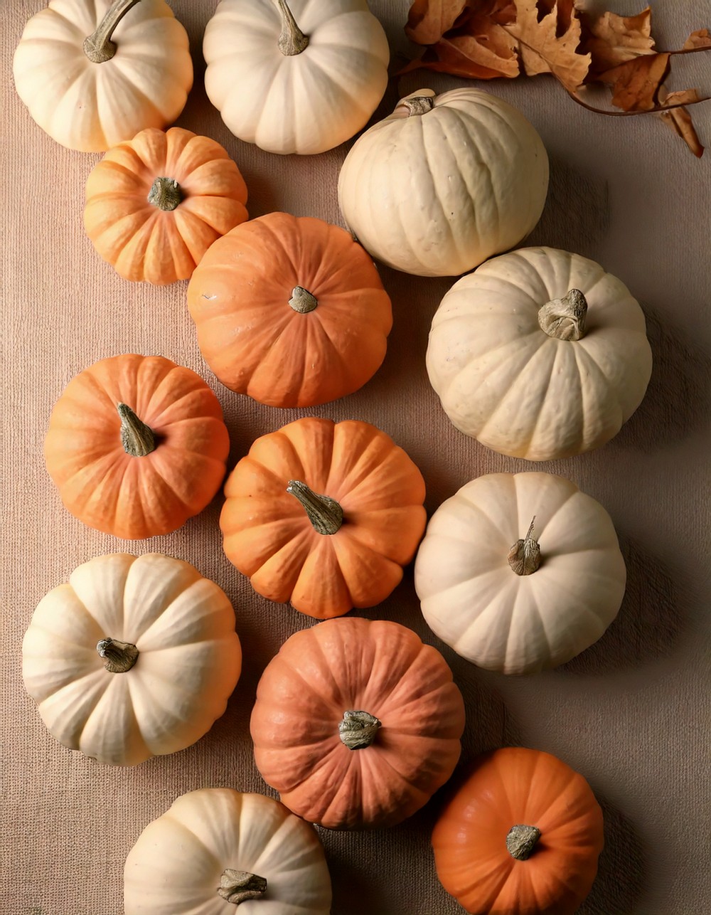 Scattered Neutral Pumpkins for a Soft Look