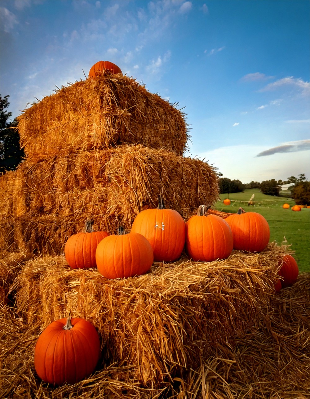 Stacked Hay Bales with Pumpkin Accents