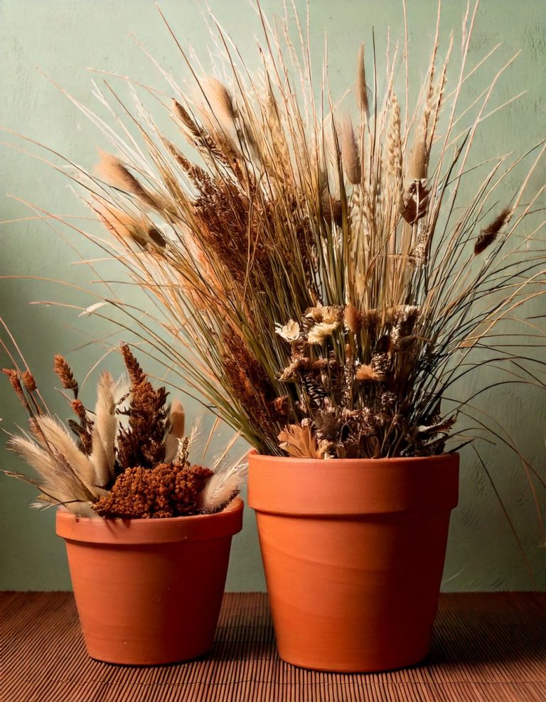 Terracotta Pots with Dried Floral Arrangements