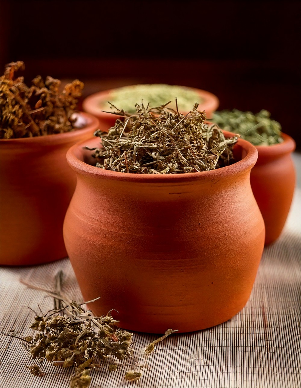 Terracotta Pots with Dried Herbs