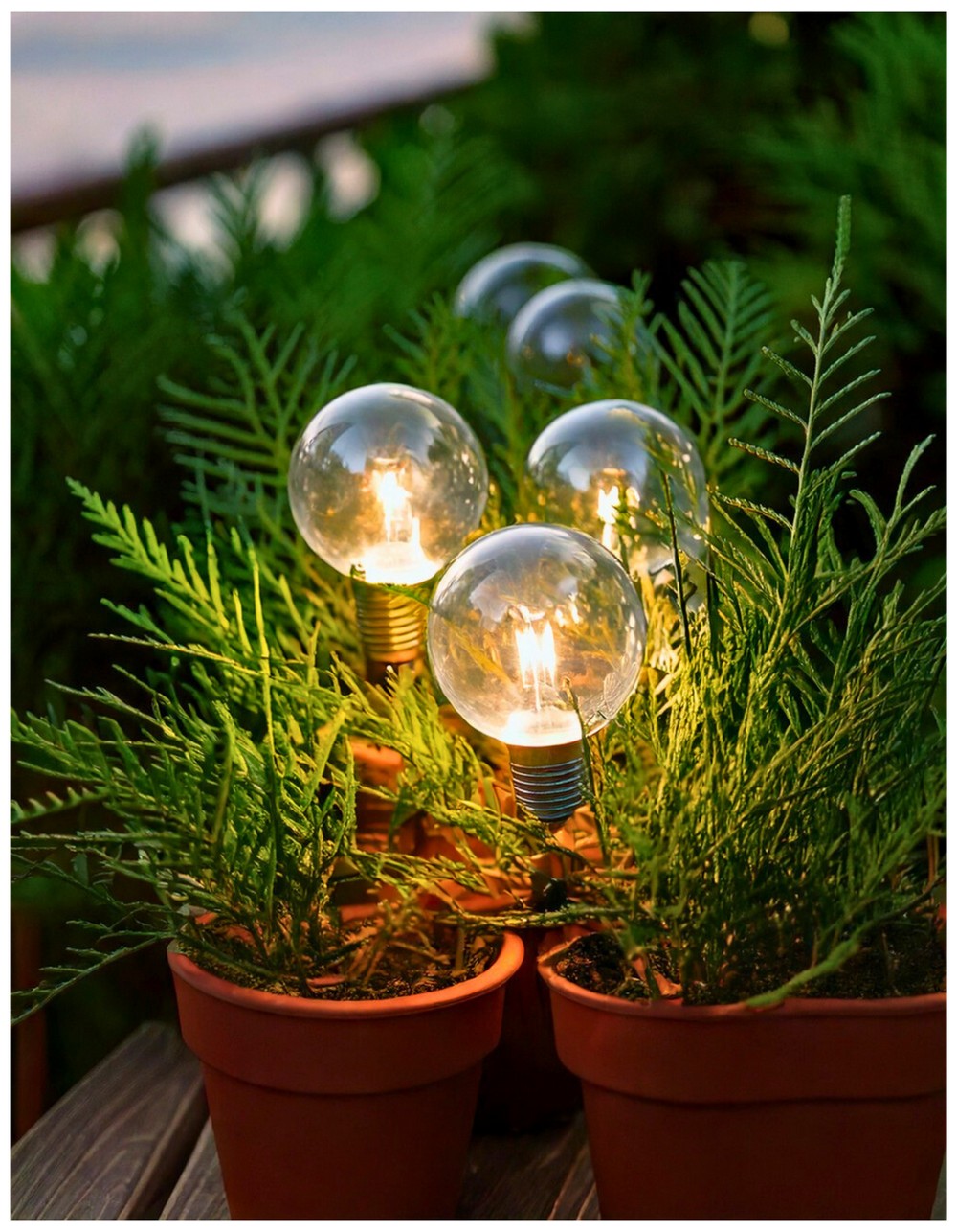 Battery-Powered Globe Lights in Planters