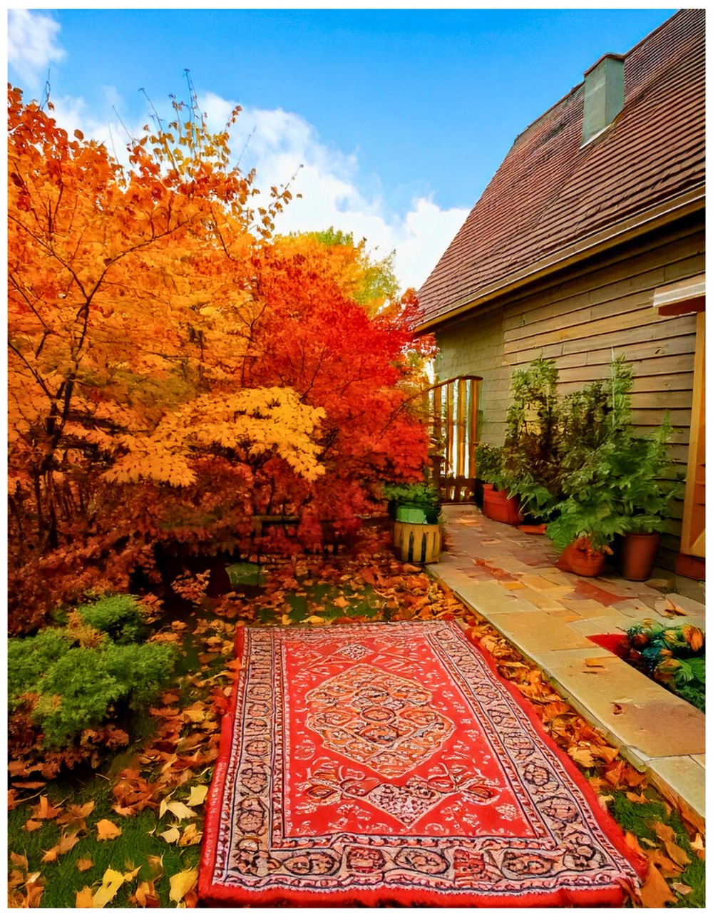 Small Outdoor Rug in Fall Patterns