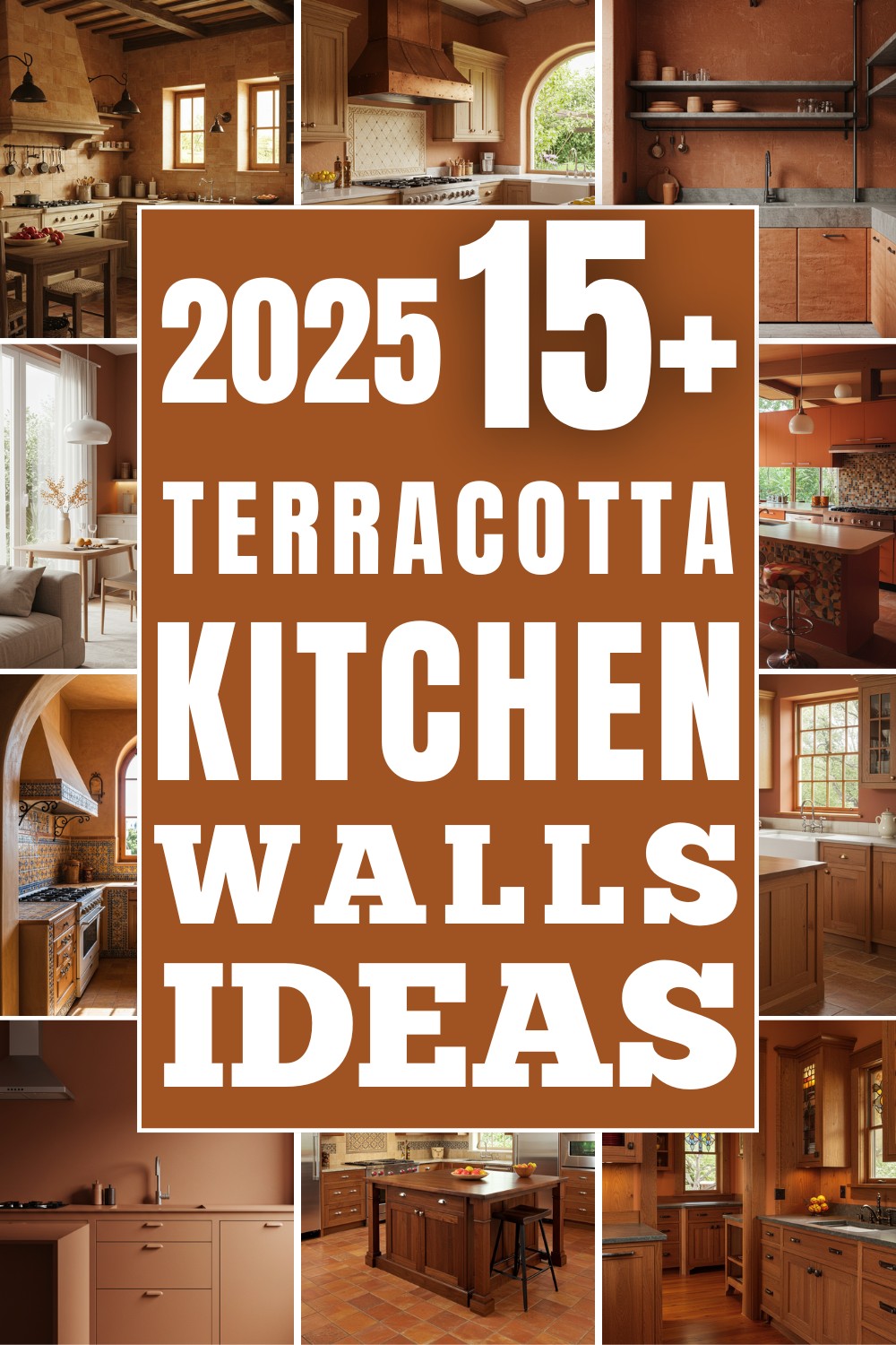 Trendy Terracotta Kitchen Walls
