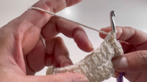 Beautiful Crochet Net Bag Pattern 4