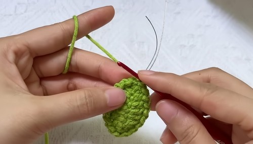 Beautiful Crochet Rose Pot Pattern 5