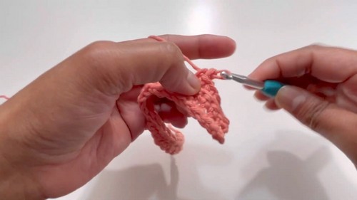 Crochet Double Brim Winter Hat Pattern 3