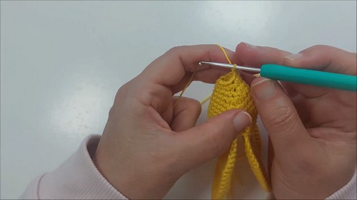 Crochet Star Amigurumi Pattern 5