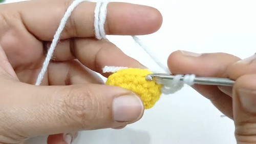 Cute Crochet Daisy Flower Pattern 3