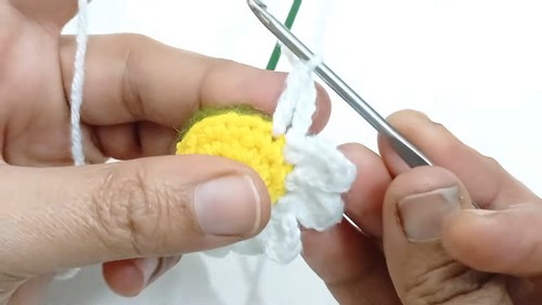 Cute Crochet Daisy Flower Pattern 4