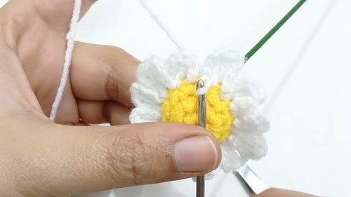 Cute Crochet Daisy Flower Pattern 5