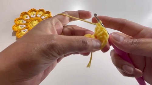 Wonderful Crochet Coaster Pattern 2