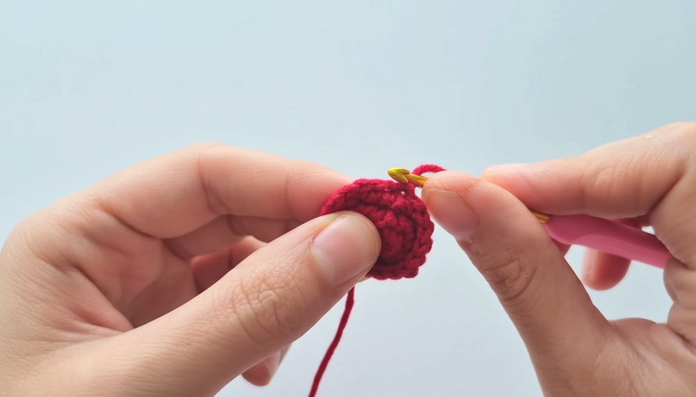Beautiful Crochet Rose Pattern 2