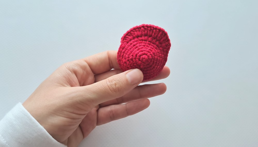 Beautiful Crochet Rose Pattern 3