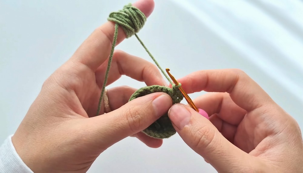 Beautiful Crochet Rose Pattern 5