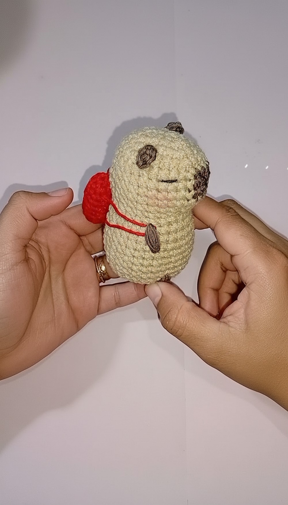 Crochet Capybara Amigurumi Pattern 7