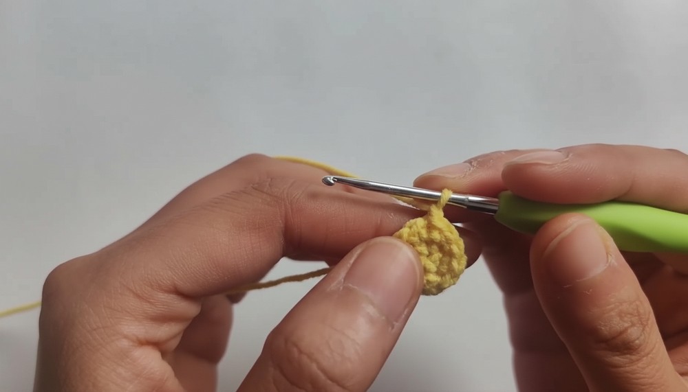 Cute Crochet Eggshell Chicks Pattern 1