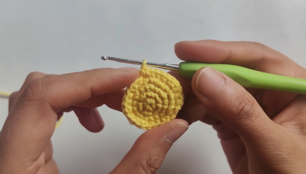 Cute Crochet Eggshell Chicks Pattern 2