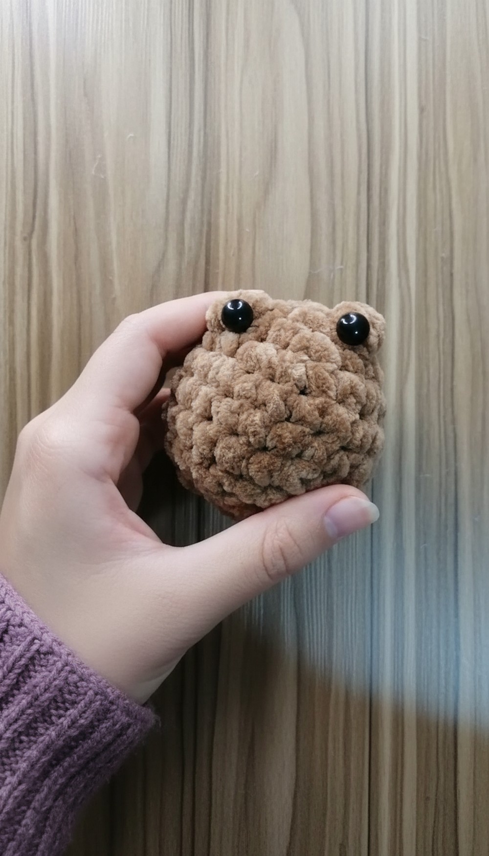 Cute Crochet Frog Amigurumi Pattern 6
