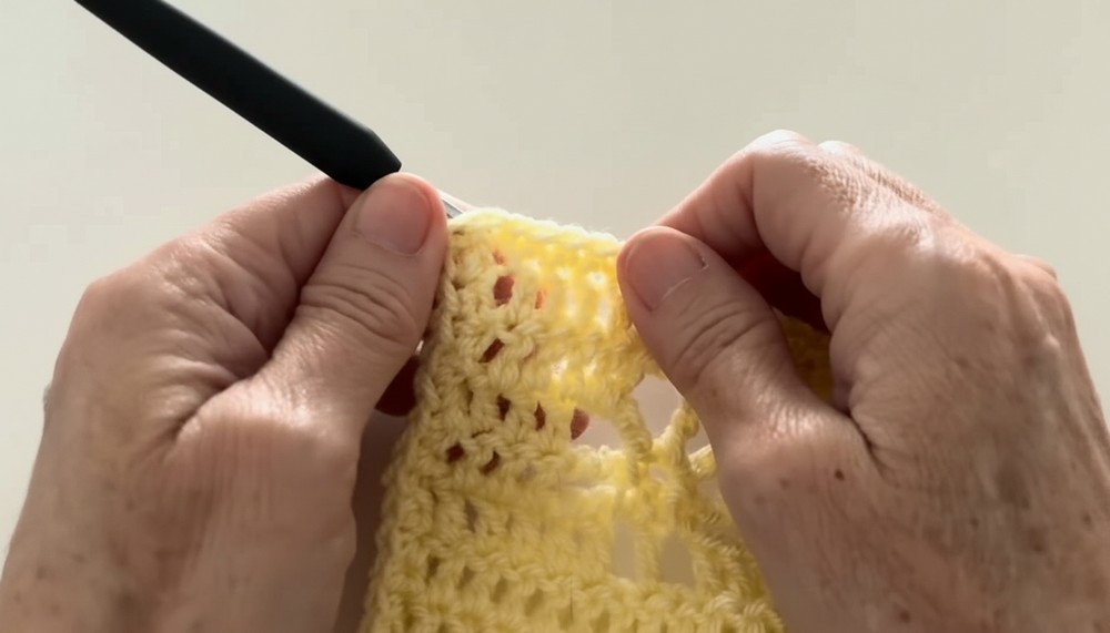 Daisy Crochet Baby Blanket Pattern 6